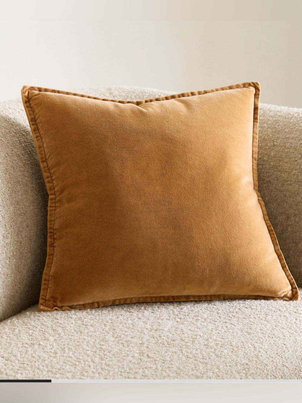 Set 2 Crate&Barrel Velvet Throw Pillows